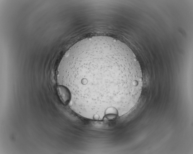 X0000115830187200911131135