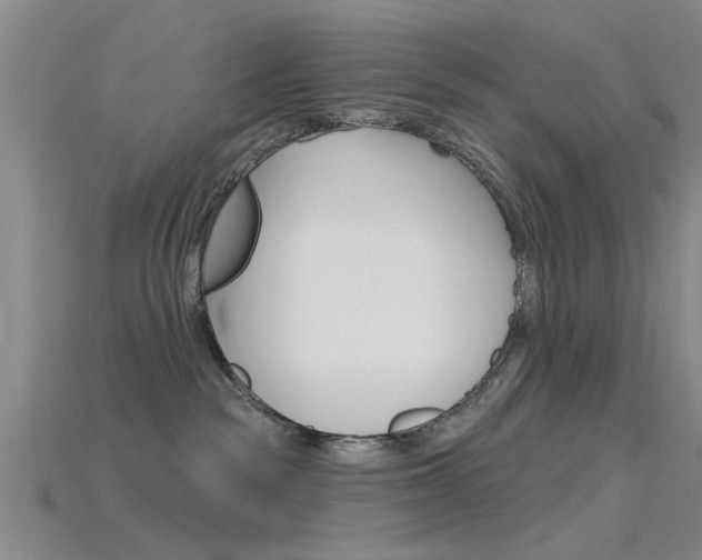 X0000115830189200911131135