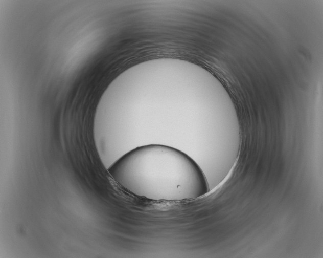 X0000115830190200911131135