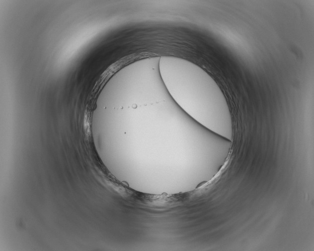 X0000115830191200911131135