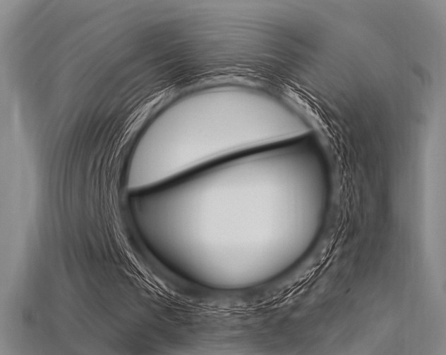 X0000115830193200911131134