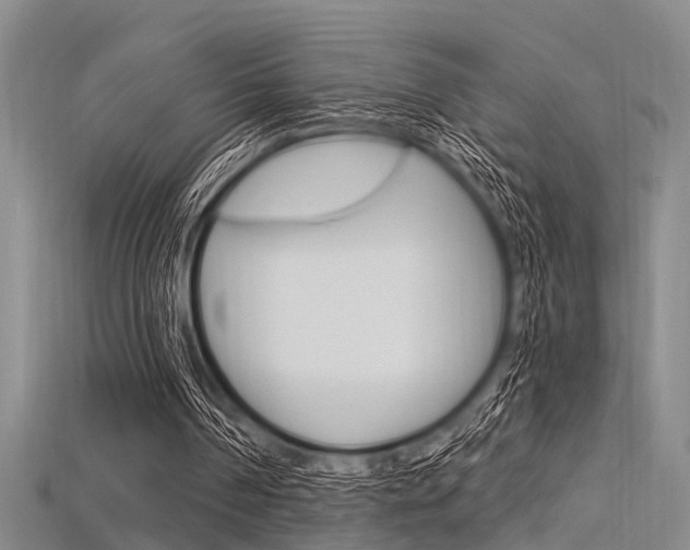 X0000115830194200911131134