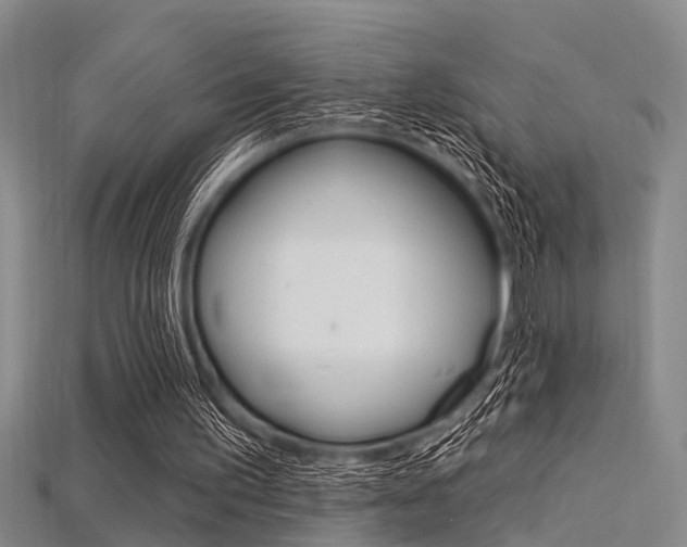 X0000115830195200911131134