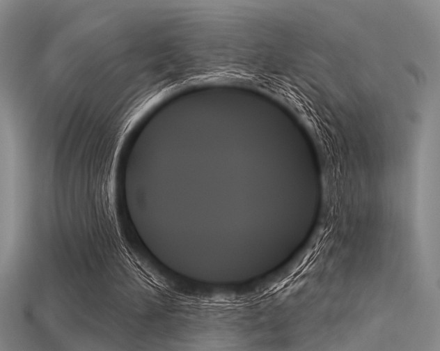 X0000115830196200911131134