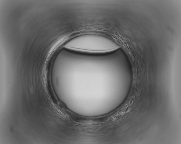 X0000115830197200911131134