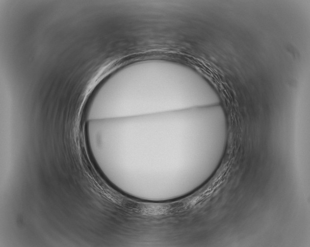 X0000115830198200911131134