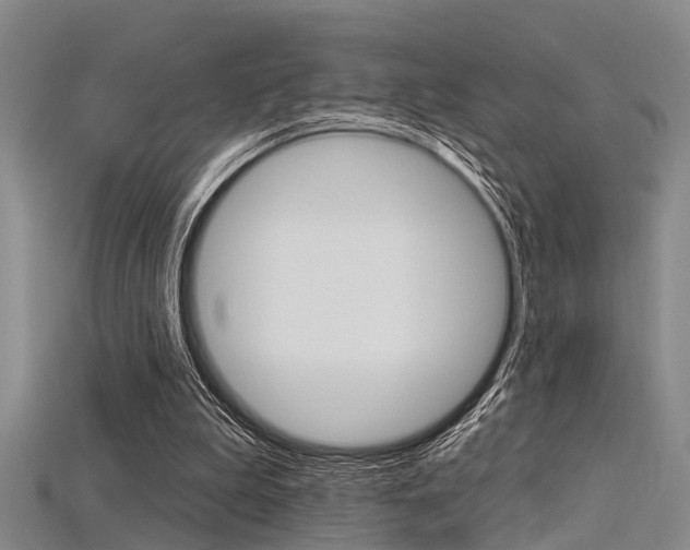 X0000115830199200911131134