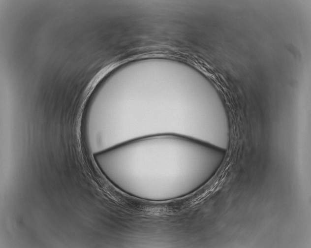 X0000115830200200911131134