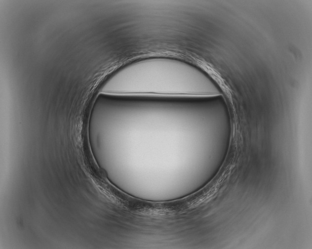 X0000115830201200911131134