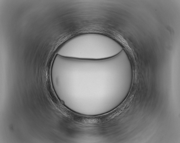 X0000115830202200911131134