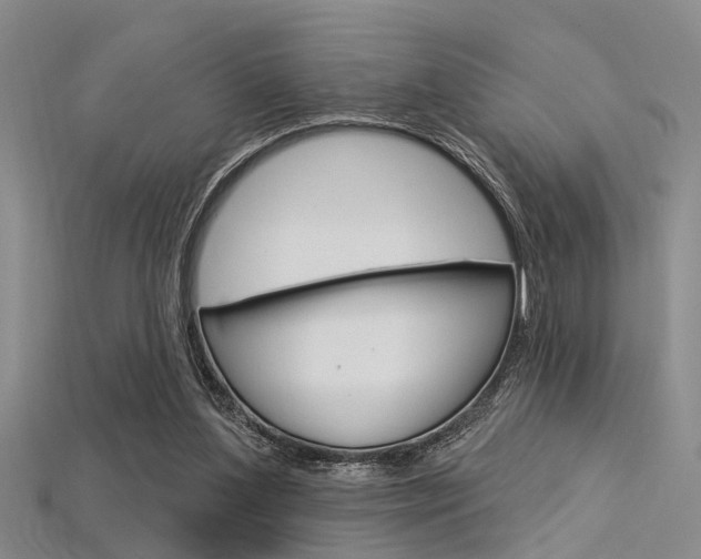 X0000115830204200911131134