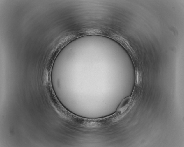 X0000115830205200911131134