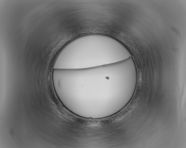 X0000115830206200911131134