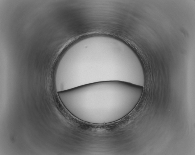 X0000115830208200911131134