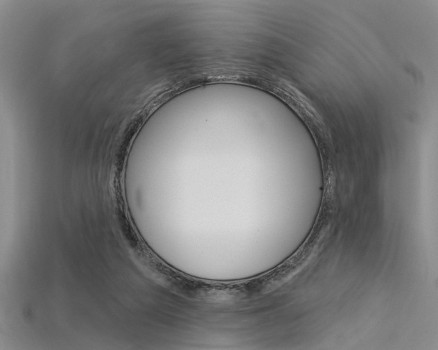 X0000115830209200911131134