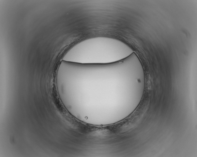 X0000115830210200911131134