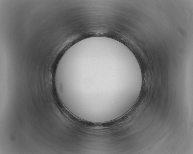 X0000115830212200911131134