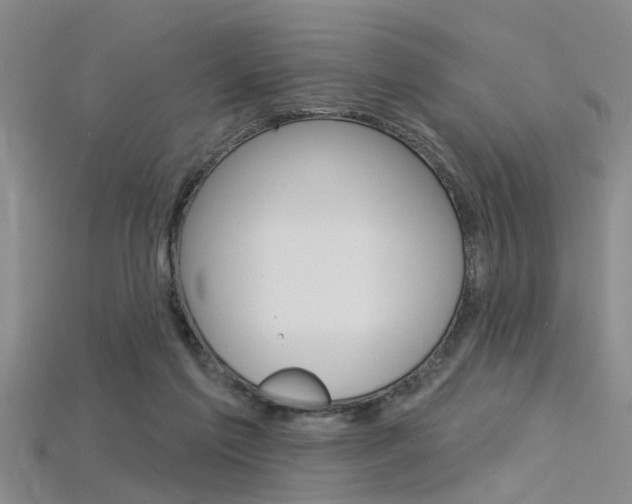 X0000115830213200911131134