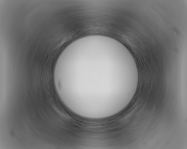 X0000115830215200911131134