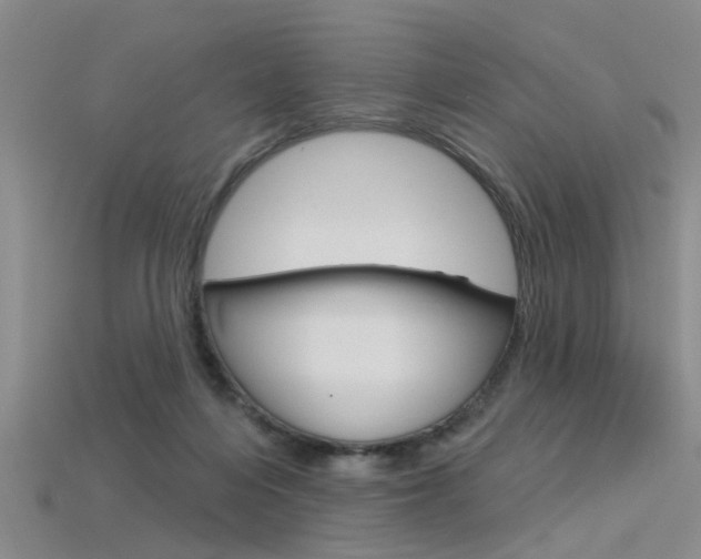 X0000115830216200911131134