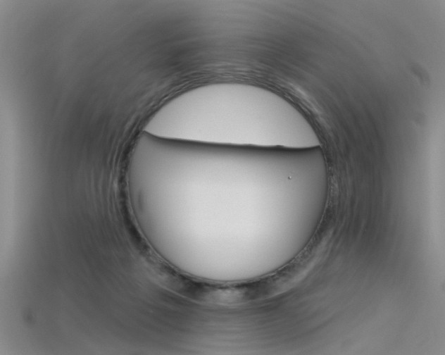 X0000115830217200911131134