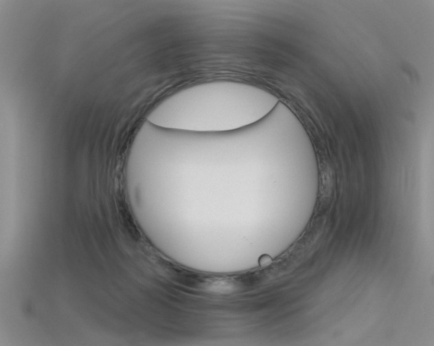 X0000115830218200911131134