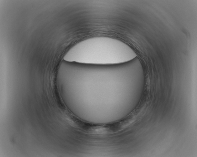 X0000115830219200911131134