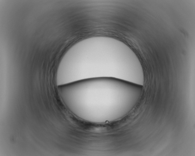 X0000115830220200911131134