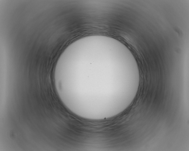 X0000115830221200911131134