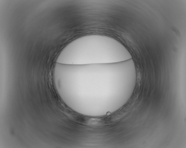 X0000115830222200911131134