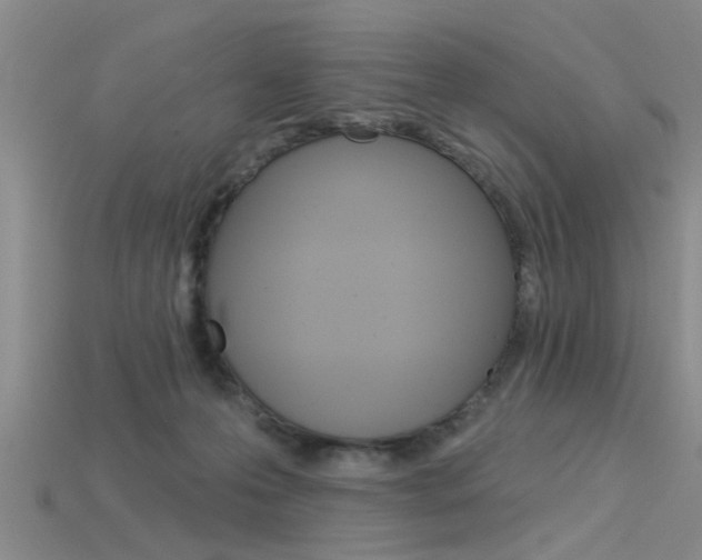 X0000115830223200911131134