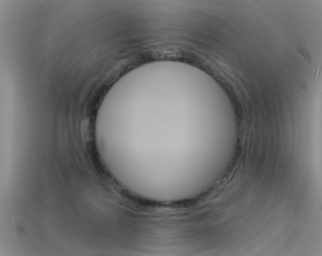 X0000115830224200911131134