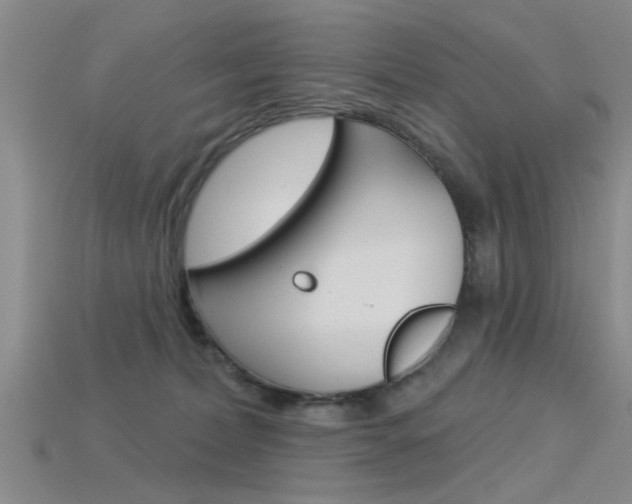 X0000115830228200911131134