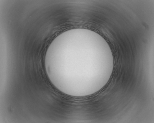 X0000115830229200911131134