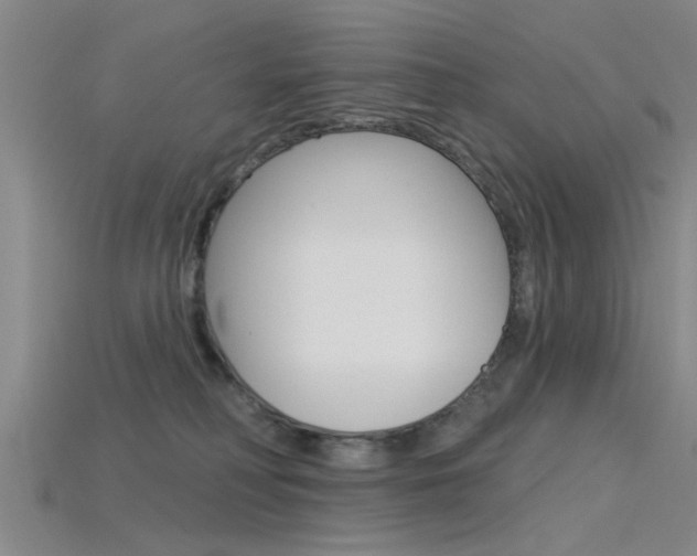 X0000115830230200911131134