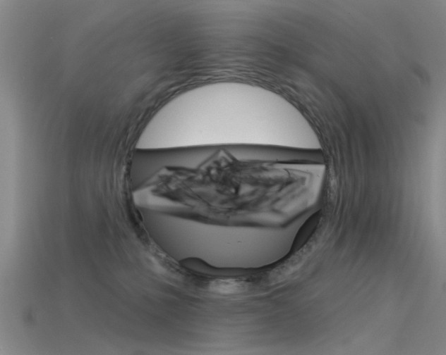 X0000115830231200911131134