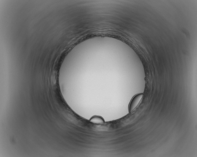 X0000115830232200911131134