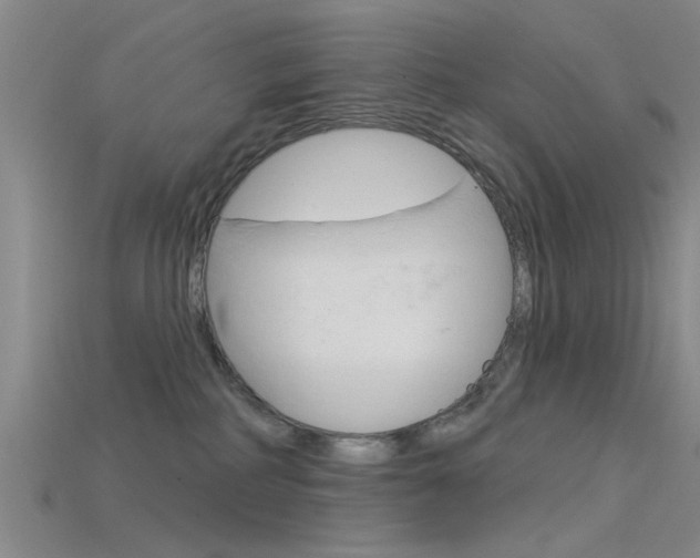 X0000115830234200911131134