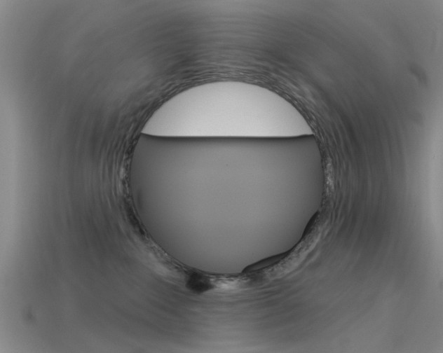 X0000115830235200911131134