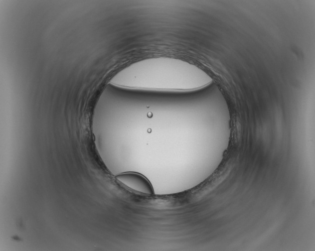 X0000115830236200911131134