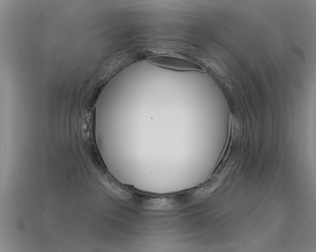 X0000115830237200911131134