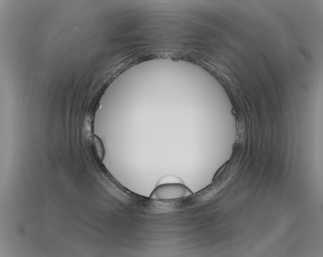 X0000115830238200911131134