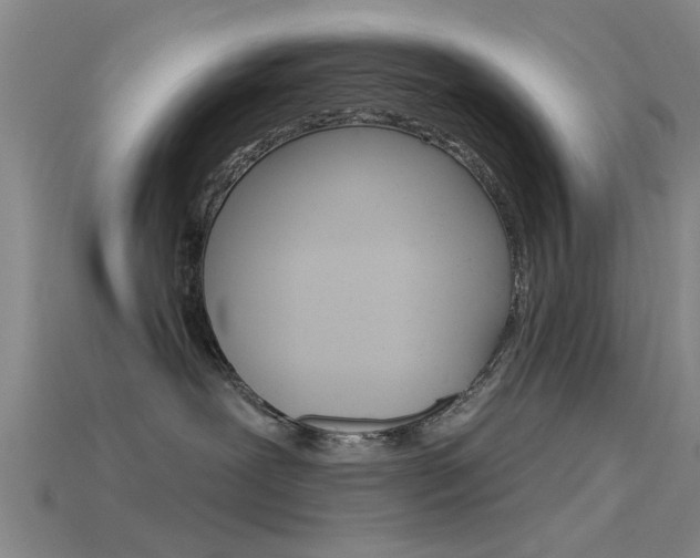 X0000115830239200911131134