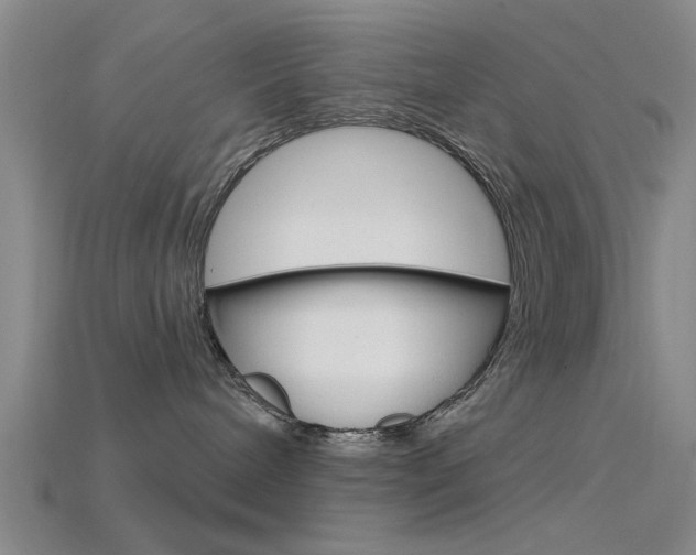 X0000115830240200911131134