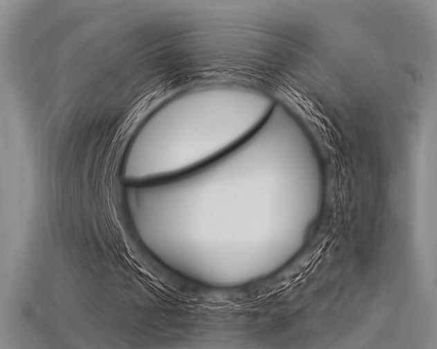 X0000115830241200911131133