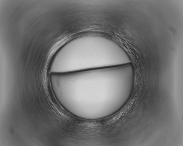 X0000115830245200911131133