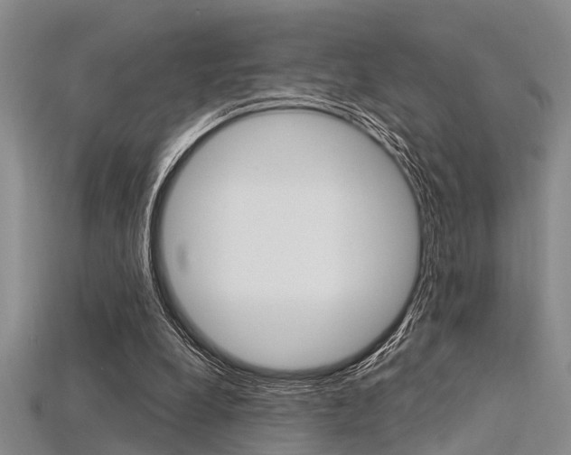 X0000115830248200911131133