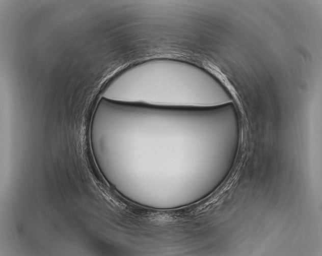 X0000115830249200911131133