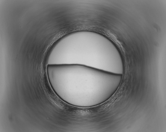 X0000115830250200911131133