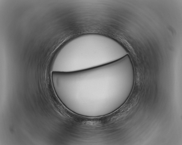 X0000115830251200911131133